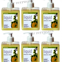 Carton de 6 savons mains Citrus Olive