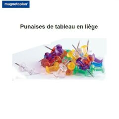 Punaises de tableau liège